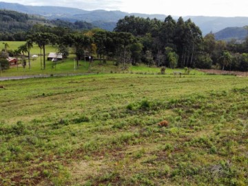 Sítio - Venda - Linha Ávila - Gramado - RS