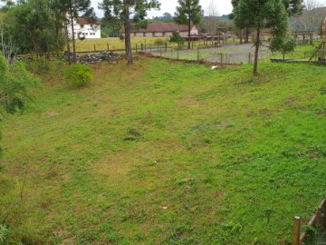 Terreno - Venda - Três Pinheiros - Gramado - RS